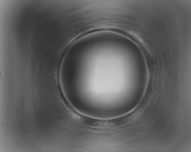 X0000075361273200609081206