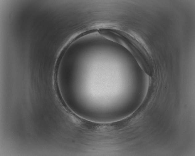 X0000075361277200609081206