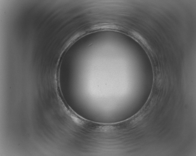 X0000075361282200609081206