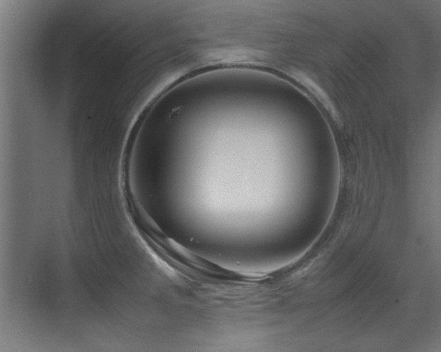 X0000075361285200609081206