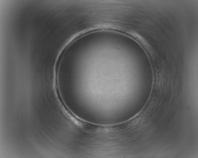 X0000075361286200609081206