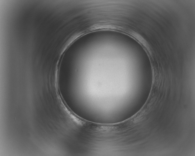 X0000075361290200609081206