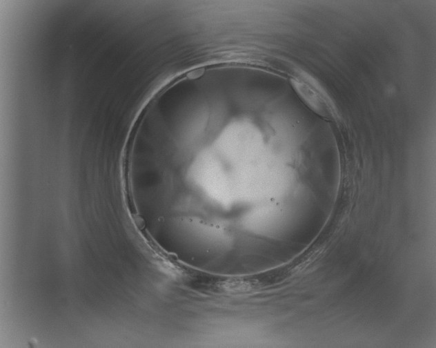 X0000075361291200609081206