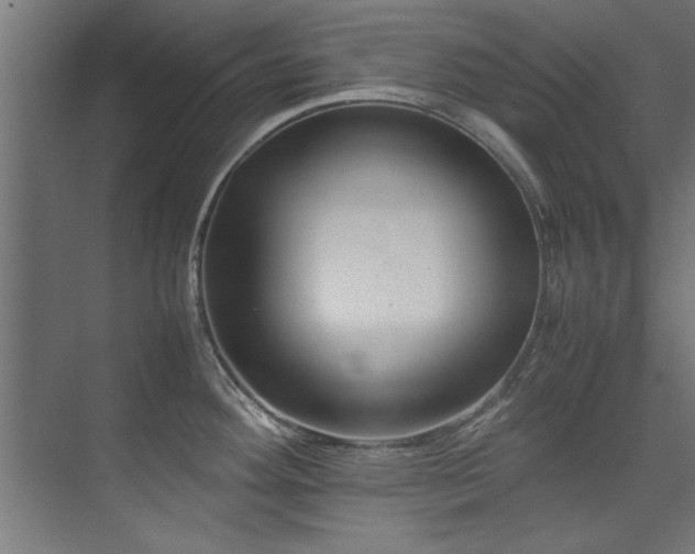 X0000075361292200609081206