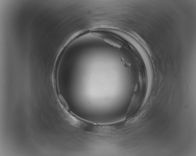 X0000075361293200609081206