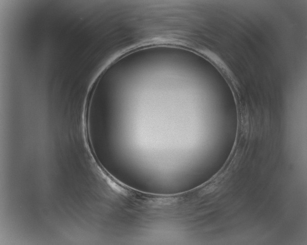 X0000075361294200609081206