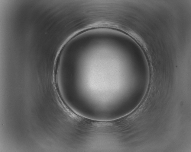 X0000075361296200609081205