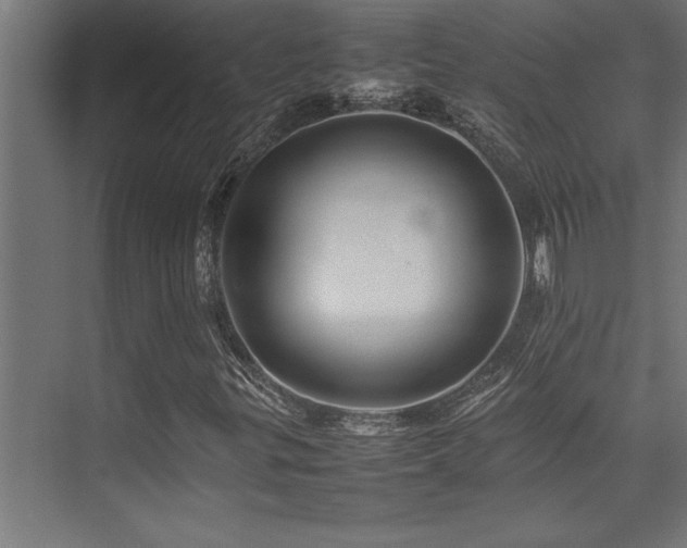 X0000075361299200609081205