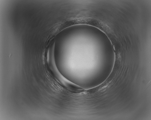 X0000075361300200609081205