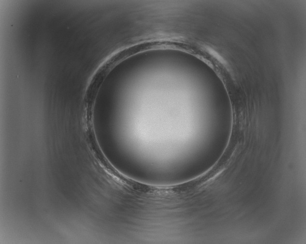 X0000075361310200609081205