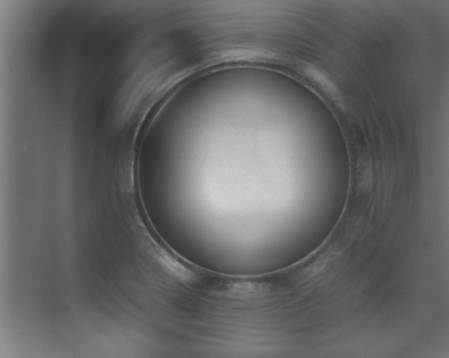 X0000075361322200609081205