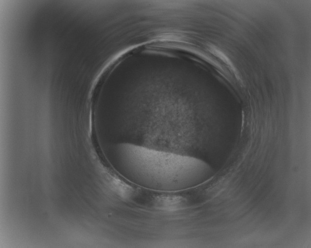 X0000075361323200609081205