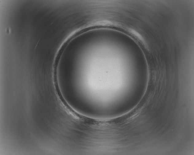 X0000075361326200609081205