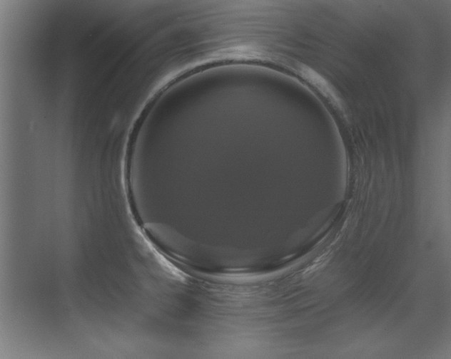 X0000075361334200609081205