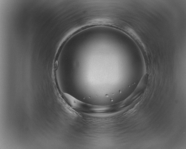X0000075361336200609081205