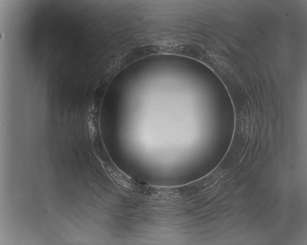 X0000075361346200609081205