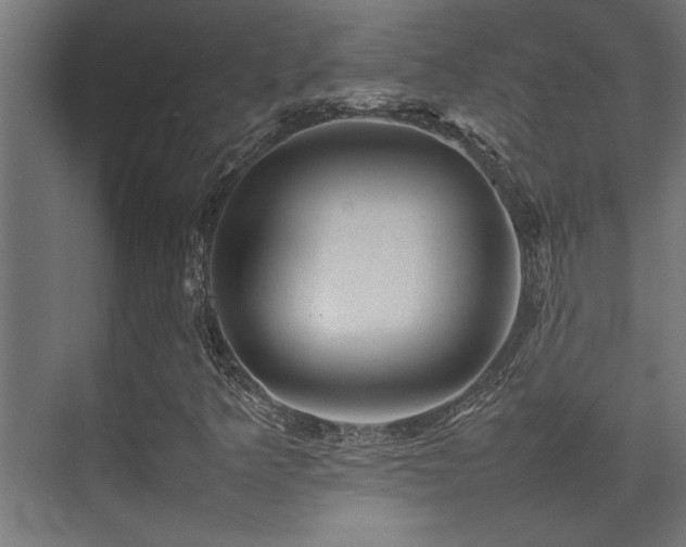 X0000075361349200609081205