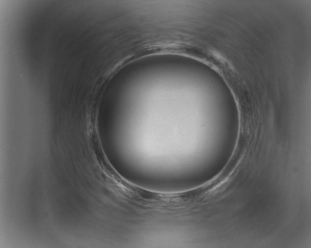 X0000075361353200609081205