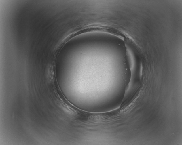 X0000075361355200609081204