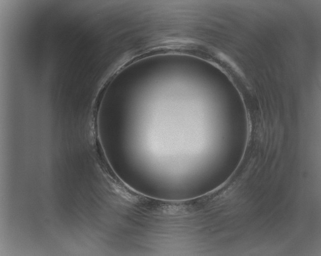 X0000075361362200609081204