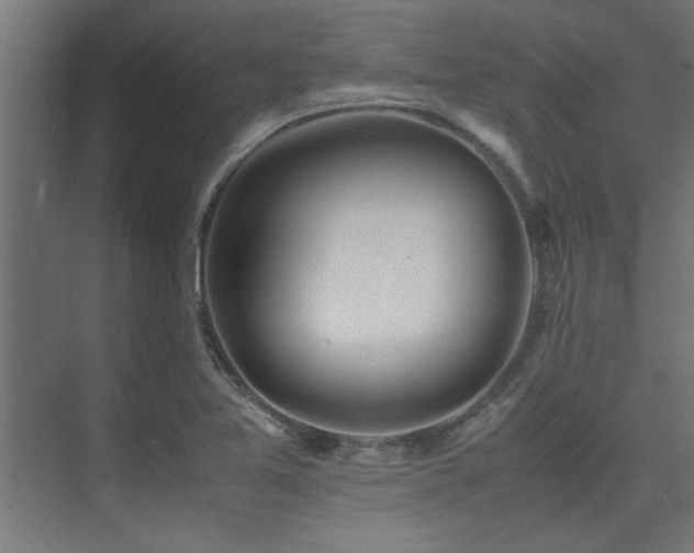 X0000075361365200609081204