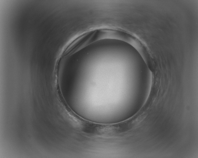 X0000075361367200609081204