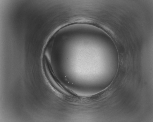 X0000075361375200609081204