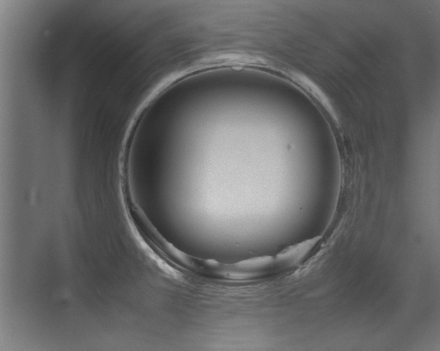 X0000075361381200609081204