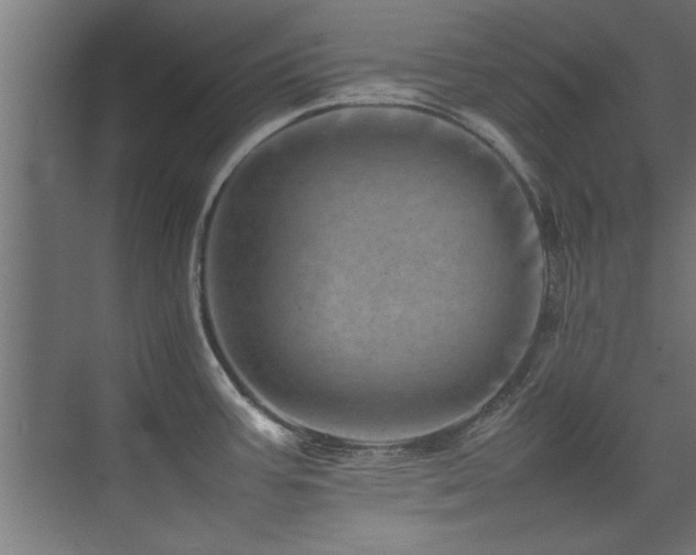 X0000075361387200609081204