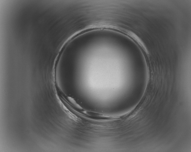 X0000075361388200609081204