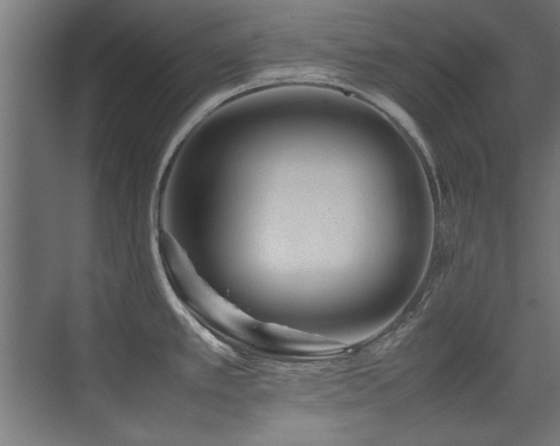X0000075361389200609081204