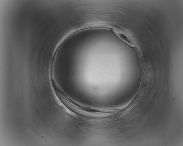 X0000075361390200609081204