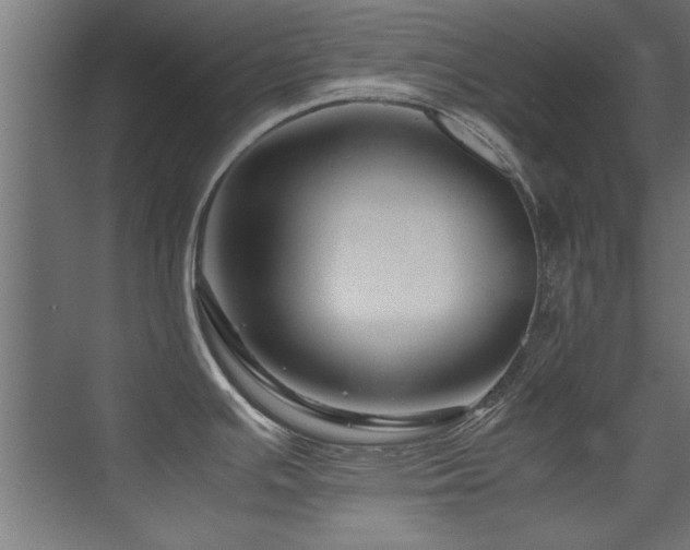 X0000075361391200609081204