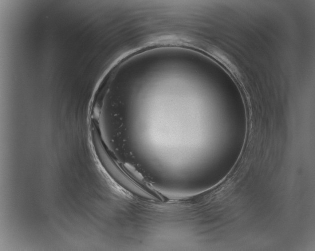 X0000075361392200609081204