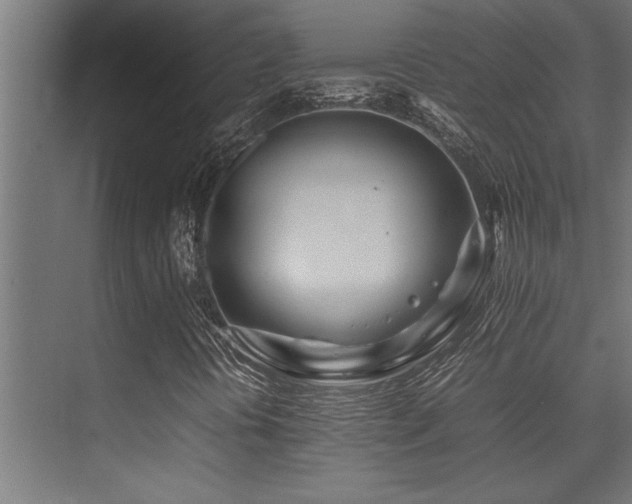 X0000075361394200609081203