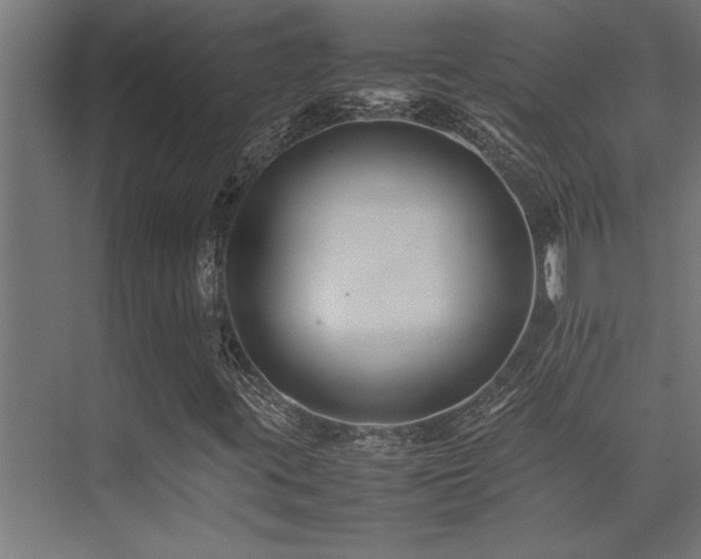 X0000075361395200609081203