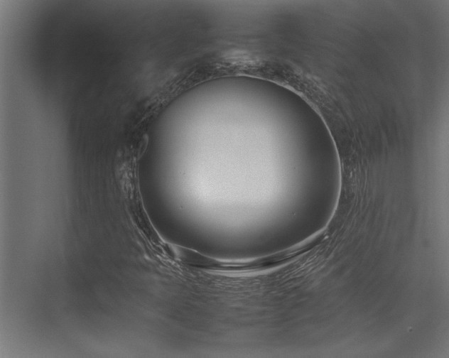 X0000075361397200609081203