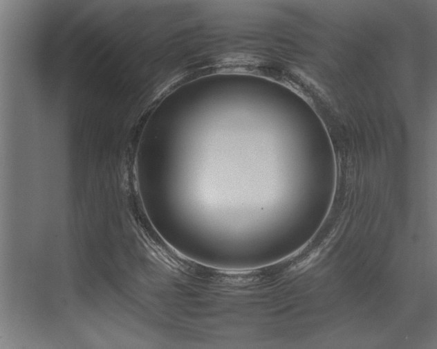 X0000075361401200609081203