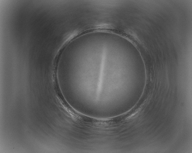 X0000075361405200609081203