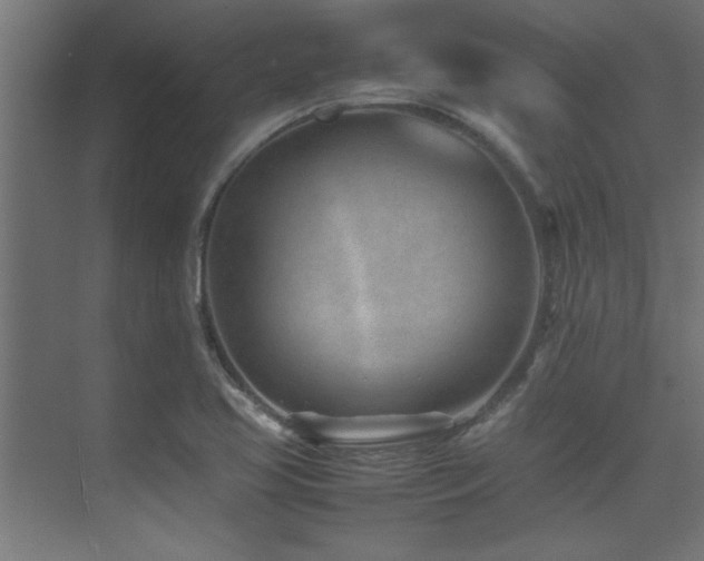 X0000075361413200609081203