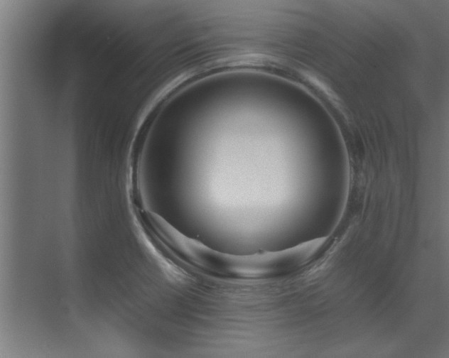 X0000075361418200609081203