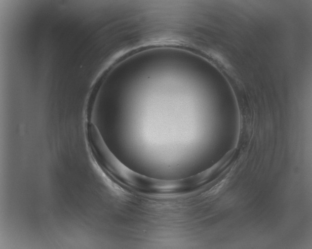 X0000075361422200609081204