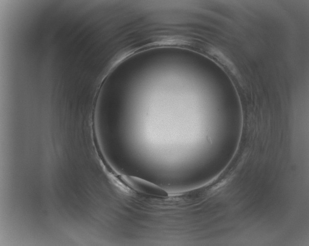 X0000075361425200609081204