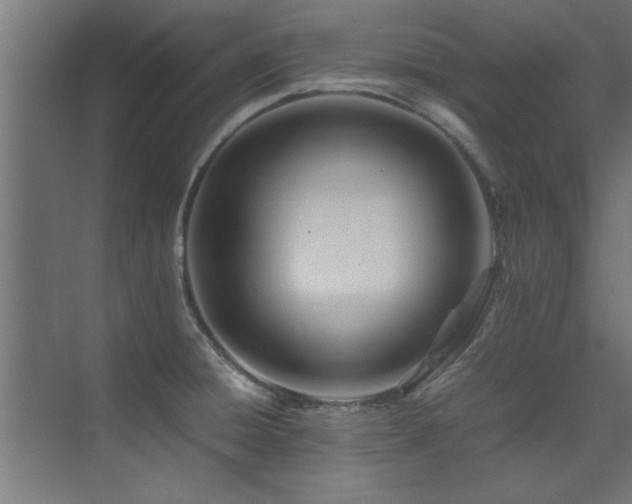 X0000075361428200609081204