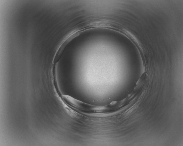 X0000075361434200609081204