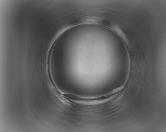 X0000075361435200609081204