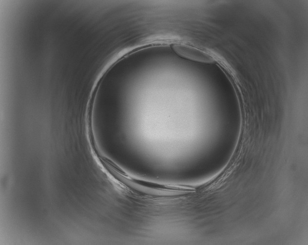 X0000075361440200609081204