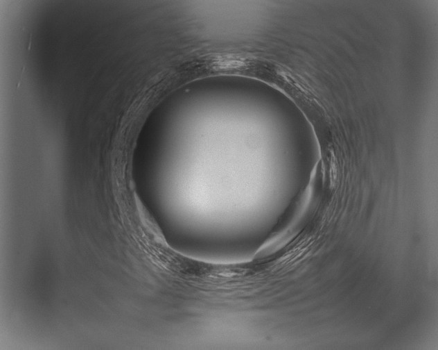 X0000075361441200609081203