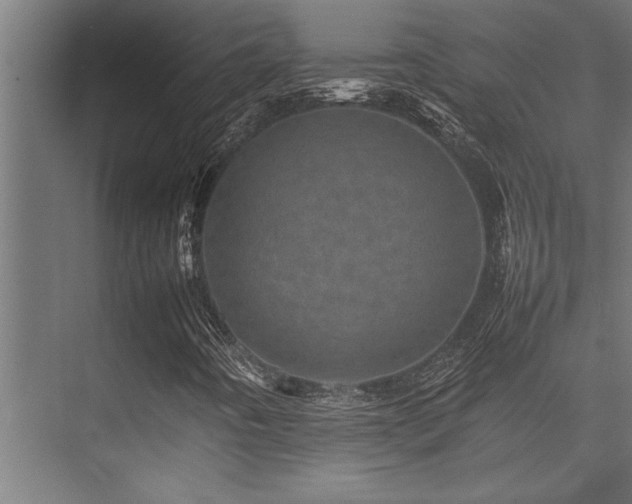 X0000075361442200609081203