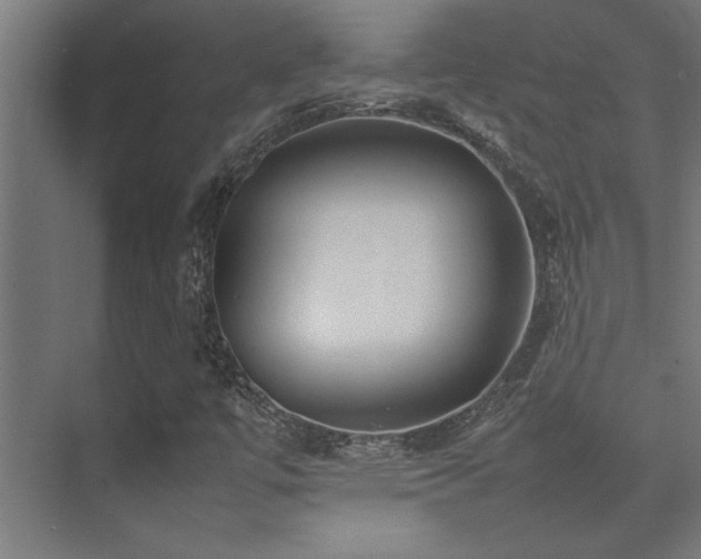 X0000075361447200609081203